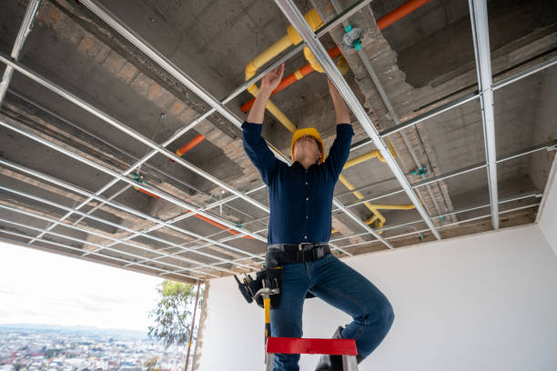 Best Best Plumbers Near Me  in Wewahitchka, FL