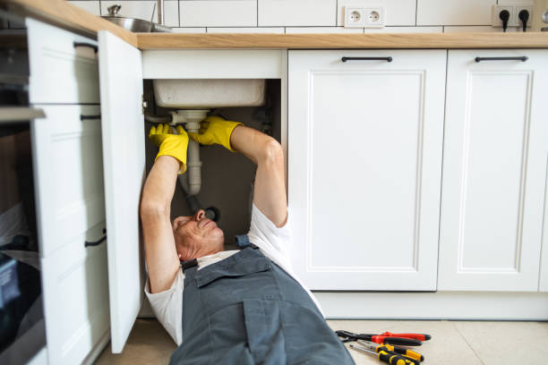 Best Plumbing Services Near Me  in Wewahitchka, FL